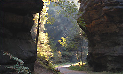 natur02.jpg