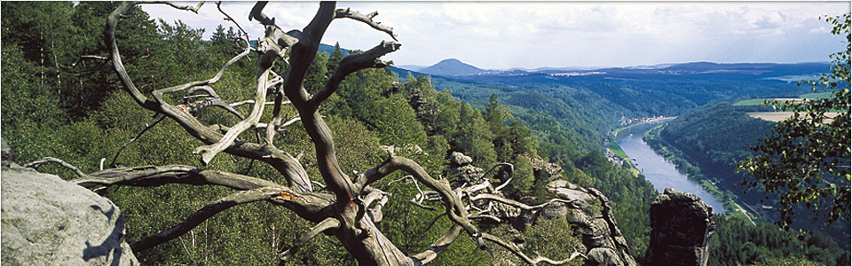 Motiv: Hotel Information - Panoramahotel Lilienstein